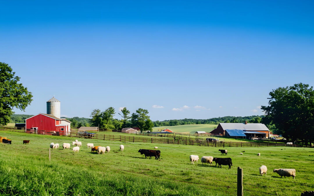 How to Save Energy in the Farm Sectors